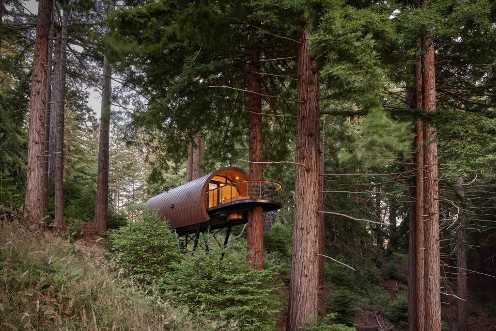 ~* The Spectacular Spyglass Treehouse *~ Occidental Exterior photo